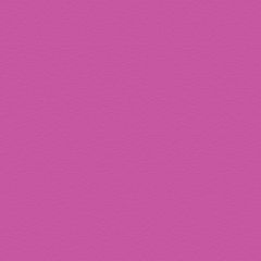 Fuschia