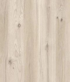 Light Pale Oak